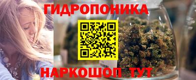 амф Камышлов