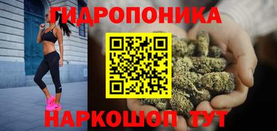 PSILOCYBIN Кандалакша