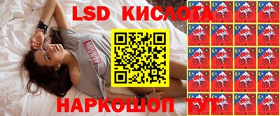 PSILOCYBIN Кандалакша